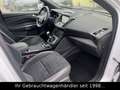 Ford Kuga 1.5 EB ST-Line Blanc - thumbnail 17