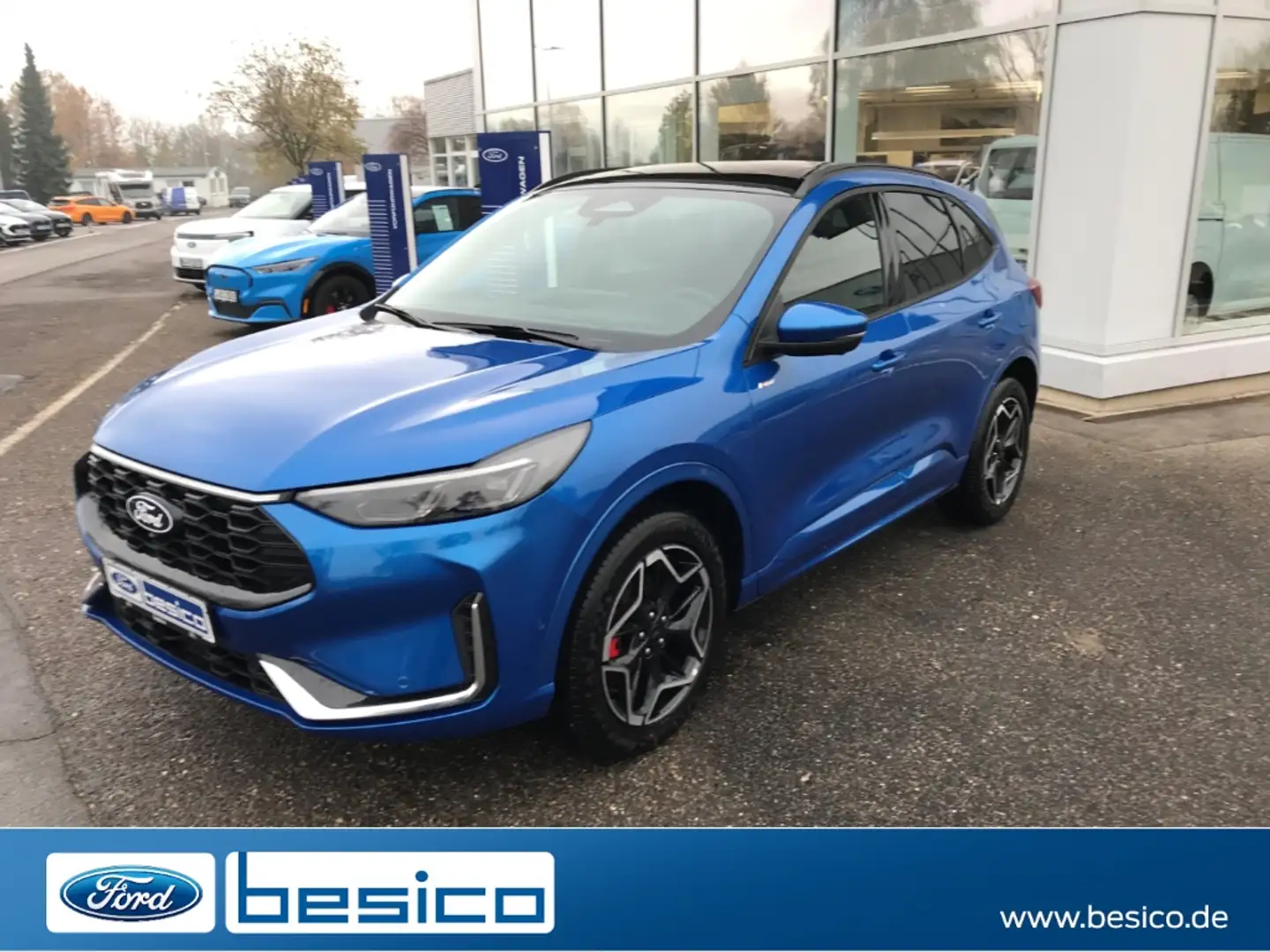 Ford Kuga ST-Line X FHEV+Matrix LED+BLIS+B&O+PDC+iACC Blau - 1
