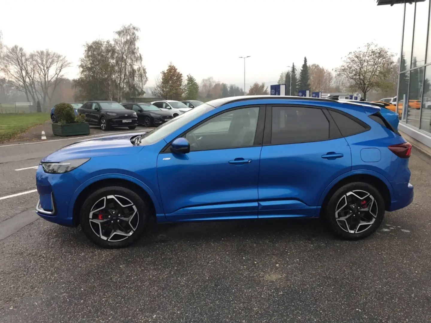 Ford Kuga ST-Line X FHEV+Matrix LED+BLIS+B&O+PDC+iACC Blau - 2