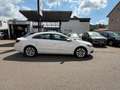 Volkswagen CC Basis BMT, Navi, Bi -Xenon, Top  . Weiß - thumbnail 12