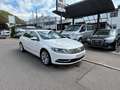 Volkswagen CC Basis BMT, Navi, Bi -Xenon, Top  . Weiß - thumbnail 3