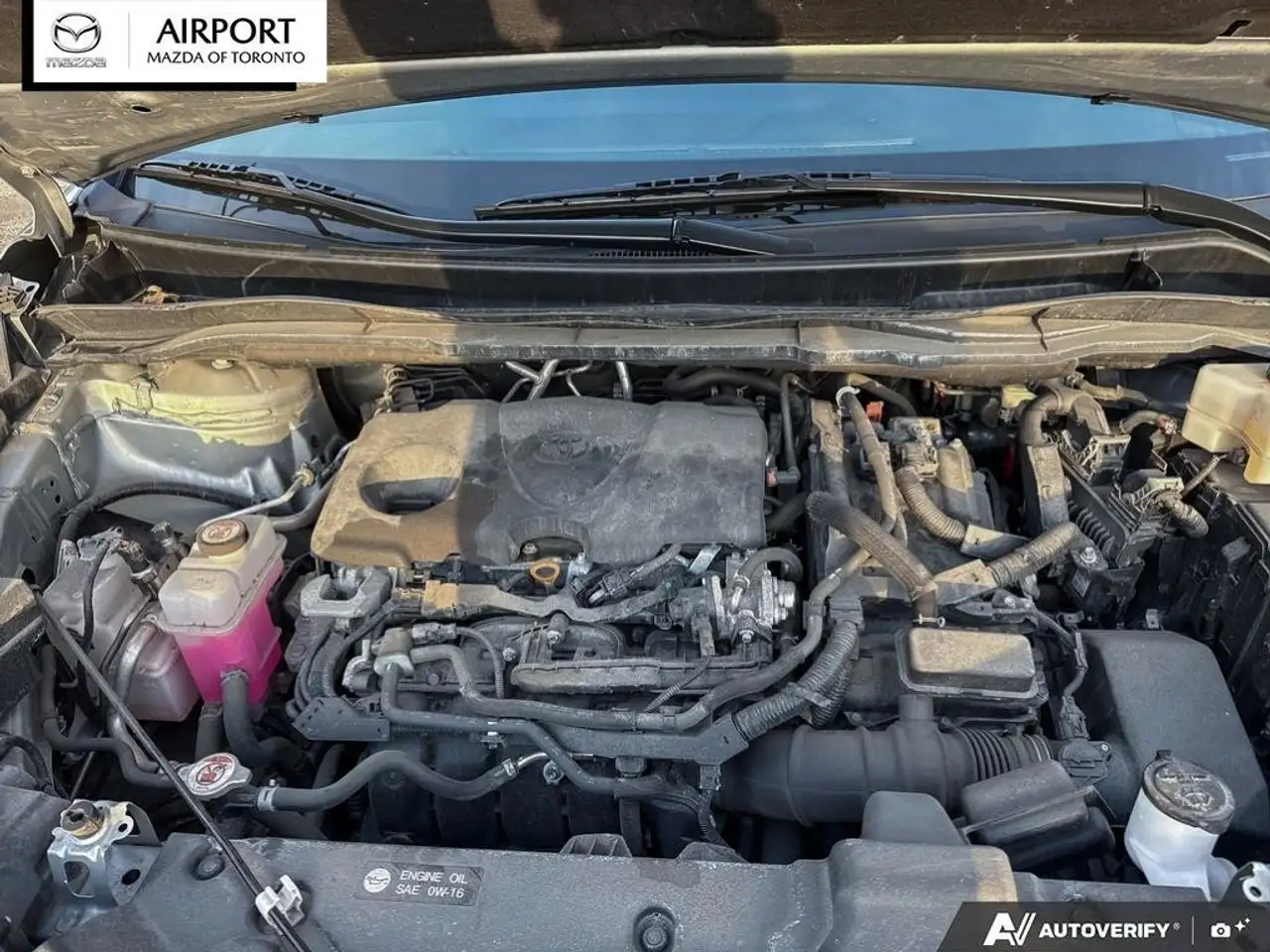 Toyota Sienna снимка Toyota Sienna