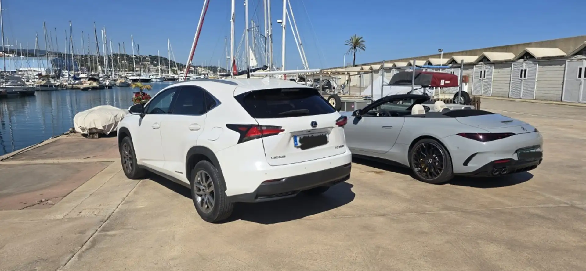 Lexus NX 300 300h Executive 4WD Tecno Blanco - 1
