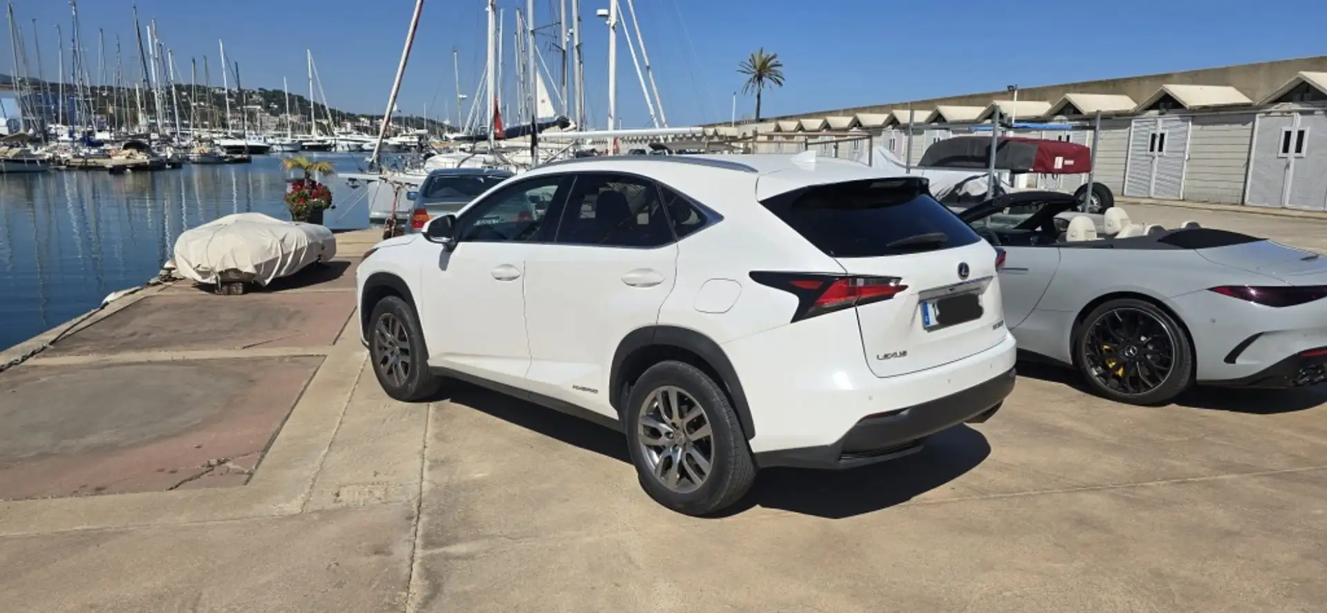 Lexus NX 300 300h Executive 4WD Tecno Blanco - 2