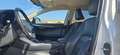 Lexus NX 300 300h Executive 4WD Tecno Blanco - thumbnail 14