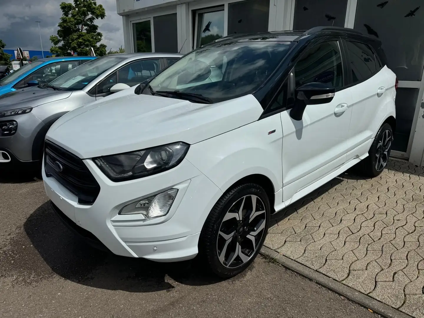 Ford EcoSport ST-Line Leder+Navi+Sitzheizung+Alufelge Weiß - 1