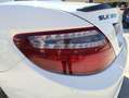 Mercedes-Benz SLK 350 SLK Roadster - R172 (cgi be) Premium AMG Cabrio Blanco - thumbnail 19