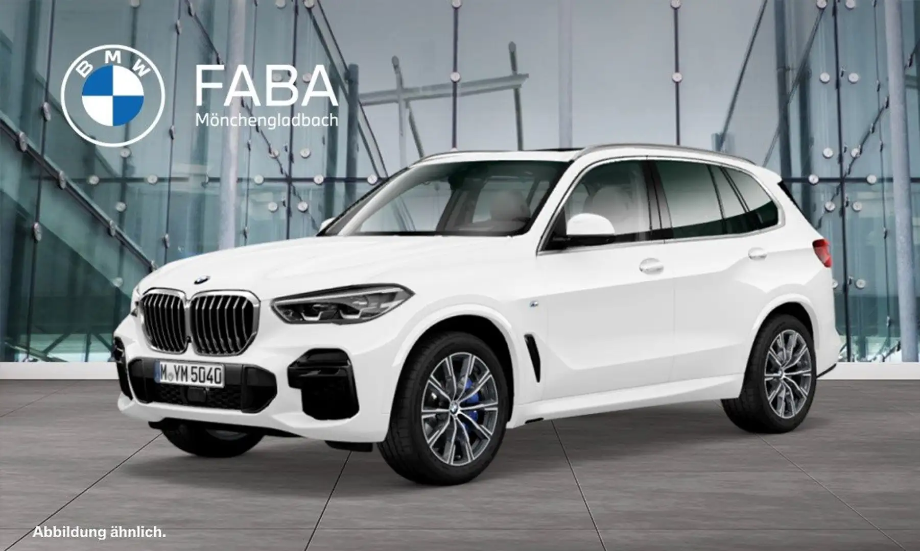 BMW X5 xDrive30d M Sportpaket Gestiksteuerung HiFi Weiß - 1