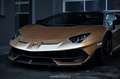 Lamborghini Aventador SVJ Roadster Novitec EXP € 609.980,- Gold - thumbnail 25
