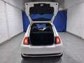 Fiat 500 Cult 1.0 Hybrid 52KW (70 CV) Weiß - thumbnail 34