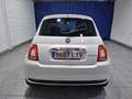 Fiat 500 Cult 1.0 Hybrid 52KW (70 CV) Weiß - thumbnail 6