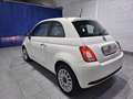Fiat 500 Cult 1.0 Hybrid 52KW (70 CV) Weiß - thumbnail 5