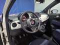 Fiat 500 Cult 1.0 Hybrid 52KW (70 CV) Weiß - thumbnail 13
