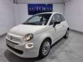 Fiat 500 Cult 1.0 Hybrid 52KW (70 CV) Weiß - thumbnail 1