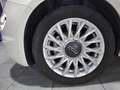 Fiat 500 Cult 1.0 Hybrid 52KW (70 CV) Weiß - thumbnail 37