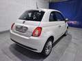 Fiat 500 Cult 1.0 Hybrid 52KW (70 CV) Weiß - thumbnail 7