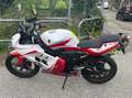 Yamaha TZR 50 Rosso - thumbnail 5