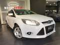 Ford Focus 1.6 120 CV GPL SW Wit - thumbnail 3