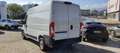 Toyota Proace Max Van 2.2 D 140CV MT L2H2 Business Bianco - thumbnail 3