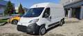 Toyota Proace Max Van 2.2 D 140CV MT L2H2 Business Bianco - thumbnail 2