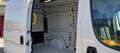 Toyota Proace Max Van 2.2 D 140CV MT L2H2 Business Bianco - thumbnail 5