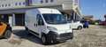 Toyota Proace Max Van 2.2 D 140CV MT L2H2 Business Bianco - thumbnail 1