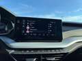 Skoda Octavia Combi 2,0 TDI Business DSG Grau - thumbnail 20