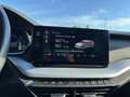 Skoda Octavia Combi 2,0 TDI Business DSG Grau - thumbnail 27