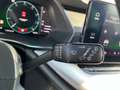 Skoda Octavia Combi 2,0 TDI Business DSG Grau - thumbnail 40