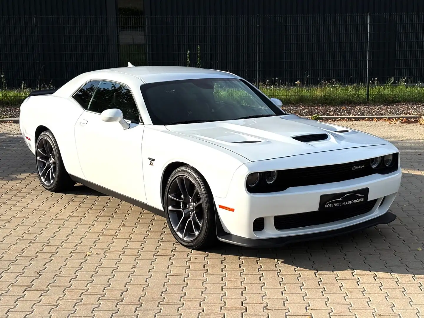 Dodge Challenger 6,4 SRT 392 V8 R/T Scat Pack/Alpina Weiß - 2