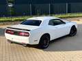 Dodge Challenger 6,4 SRT 392 V8 R/T Scat Pack/Alpina Weiß - thumbnail 9
