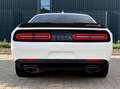 Dodge Challenger 6,4 SRT 392 V8 R/T Scat Pack/Alpina Weiß - thumbnail 11