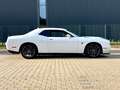 Dodge Challenger 6,4 SRT 392 V8 R/T Scat Pack/Alpina Weiß - thumbnail 8