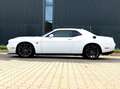 Dodge Challenger 6,4 SRT 392 V8 R/T Scat Pack/Alpina Weiß - thumbnail 7