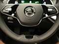 Skoda Octavia Combi 1.4 TSI iV PHEV Business Edition Plus / Lede Zwart - thumbnail 17