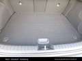 Kia Ceed / cee'd XCEED/GOLD/1.0 TGDI/MT6/115/MY26 Schwarz - thumbnail 13