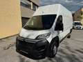 Citroen Jumper Grossraumkasten 35 L4H3 Control Heavy Blu - thumbnail 1