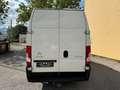 Citroen Jumper Grossraumkasten 35 L4H3 Control Heavy Blu - thumbnail 5