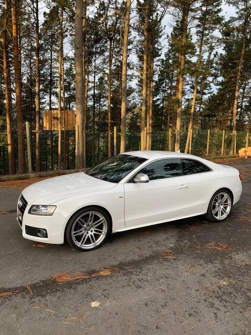 Audi A5 Coupé 3.0TDI quattro Tiptronic - 1