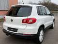 Volkswagen Tiguan Track & Field 4Motion Aut. / NAVI / XENON Blanco - thumbnail 7