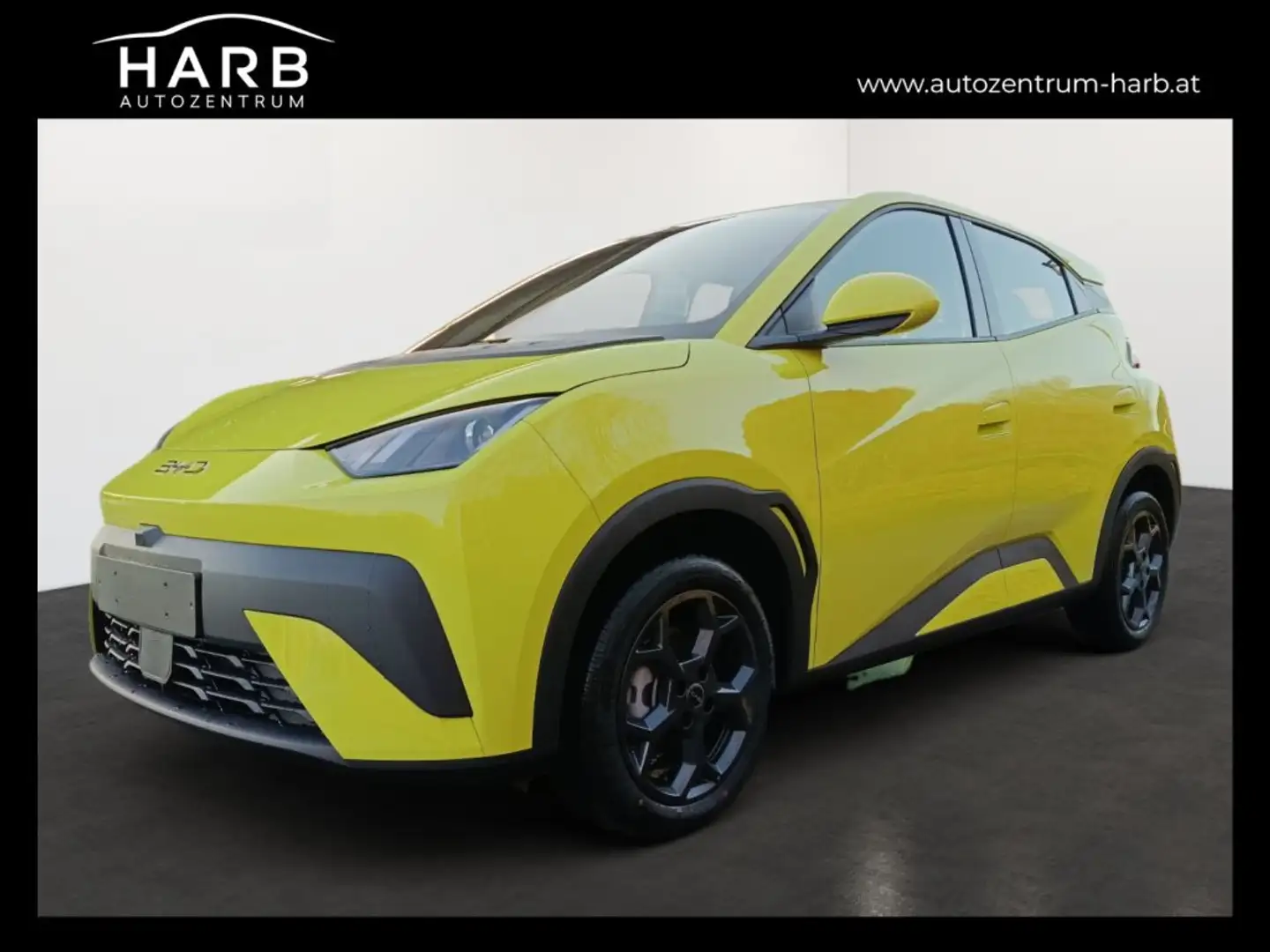 BYD Dolphin Surf Boost Grün - 1