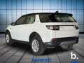 Land Rover Discovery Sport 2.0d td4 mhev SE awd 163cv auto Bianco - thumbnail 7