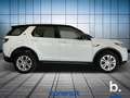 Land Rover Discovery Sport 2.0d td4 mhev SE awd 163cv auto Bianco - thumbnail 4