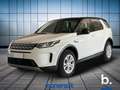 Land Rover Discovery Sport 2.0d td4 mhev SE awd 163cv auto Bianco - thumbnail 1