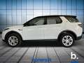Land Rover Discovery Sport 2.0d td4 mhev SE awd 163cv auto Bianco - thumbnail 8