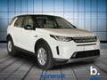 Land Rover Discovery Sport 2.0d td4 mhev SE awd 163cv auto Bianco - thumbnail 3