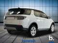 Land Rover Discovery Sport 2.0d td4 mhev SE awd 163cv auto Bianco - thumbnail 5