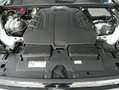 Volkswagen Touareg 3,0 V6 TDI 4Motion,AHK,Panorama,Kamera Alb - thumbnail 21