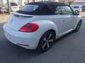 Volkswagen Beetle Cabriolet "60's" Sport Blanc - thumbnail 4