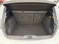 Ford Focus 1,0 EcoBoost Hybrid ST-Line Weiß - thumbnail 13